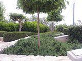Mallorca_2014-05-07-12-53-44_1