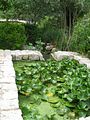 Mallorca_2014-05-07-12-54-49_1