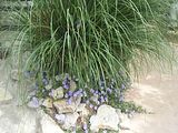 Mallorca_2014-05-07-12-55-40_1