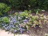 Mallorca_2014-05-07-12-57-01_1