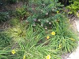 Mallorca_2014-05-07-12-57-21_1