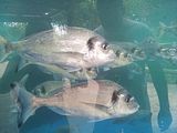 Mallorca_2014-05-07-12-57-39_1