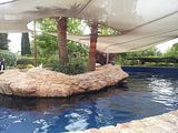 Mallorca_2014-05-07-12-58-57_1