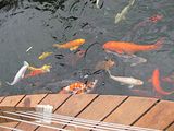 Mallorca_2014-05-07-12-59-53_1