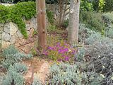 Mallorca_2014-05-07-13-00-27_1