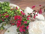 Mallorca_2014-05-07-13-01-21_1