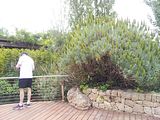 Mallorca_2014-05-07-13-01-28_1