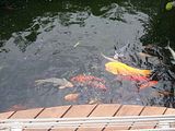 Mallorca_2014-05-07-13-01-51_1