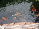 Mallorca_2014-05-07-13-01-54_1