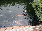 Mallorca_2014-05-07-13-01-59_1