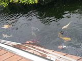 Mallorca_2014-05-07-13-02-05_1