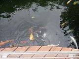 Mallorca_2014-05-07-13-02-09_1