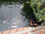 Mallorca_2014-05-07-13-02-17_1