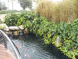 Mallorca_2014-05-07-13-02-22_1