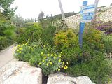 Mallorca_2014-05-07-13-02-55_1
