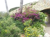 Mallorca_2014-05-07-13-03-05_1