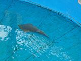Mallorca_2014-05-07-13-04-40_1
