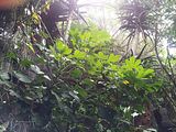Mallorca_2014-05-07-13-14-53_1