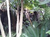 Mallorca_2014-05-07-13-15-14_1