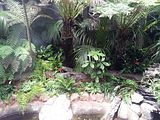 Mallorca_2014-05-07-13-16-24_1