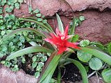 Mallorca_2014-05-07-13-17-12_1