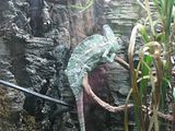Mallorca_2014-05-07-13-17-47_1