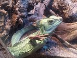 Mallorca_2014-05-07-13-18-54_1