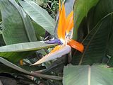 Mallorca_2014-05-07-13-22-32_1