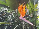 Mallorca_2014-05-07-13-22-45_1