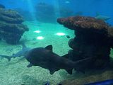 Mallorca_2014-05-07-13-29-17_1