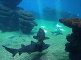 Mallorca_2014-05-07-13-29-23_1