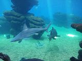 Mallorca_2014-05-07-13-29-33_1
