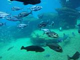 Mallorca_2014-05-07-13-31-06_1