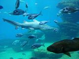 Mallorca_2014-05-07-13-31-18_1