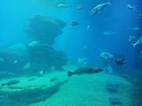 Mallorca_2014-05-07-13-31-45_1