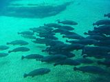 Mallorca_2014-05-07-13-32-18_1