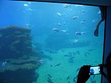 Mallorca_2014-05-07-13-32-57_1