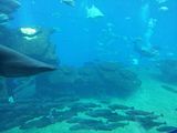 Mallorca_2014-05-07-13-33-07_1