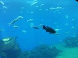 Mallorca_2014-05-07-13-33-41_1