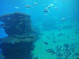 Mallorca_2014-05-07-13-34-39_1