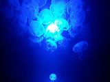 Mallorca_2014-05-07-13-36-46_1