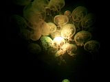 Mallorca_2014-05-07-13-37-04_1