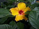 Mallorca_2014-05-07-14-27-07_1