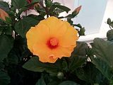 Mallorca_2014-05-07-16-15-34_1