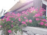 Mallorca_2014-05-08-16-32-45_1