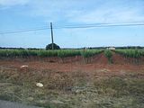 Mallorca_2014-05-08-17-43-00_1