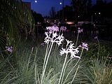 Mallorca_2014-05-09-21-16-26_1