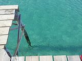 Mallorca_2014-05-10-08-13-09_1