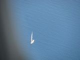 Mallorca_2014-05-10-14-59-09_1